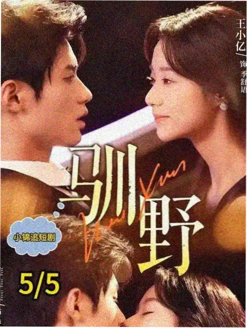 6080新视觉影视热门电影 票房破纪录